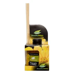 Aromatizador ambiente 270ml sementes e folhas