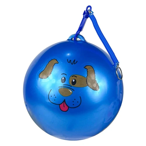 Bola plástica colorida bichinhos com cordão 22cm