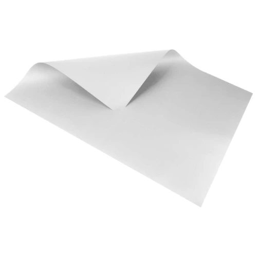 Cartolina 48cmx66cm blister 140g branca