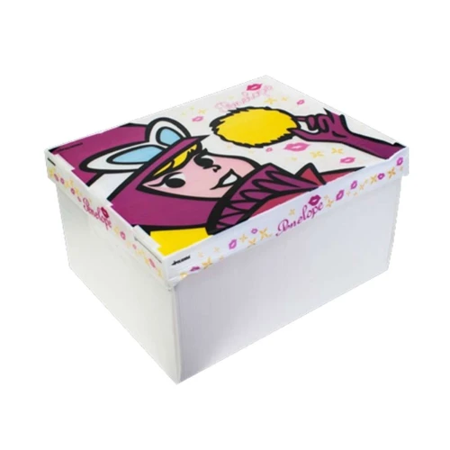 Caixa polionda 31x23x15cm personagens sortidos Caixa polionda 31x23x15cm personagens sortidos