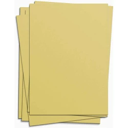 Cartolina amarelo 48x66cm 140g blister Form Bob
