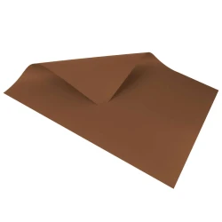 Cartolina dupla face marrom 48x66cm blister