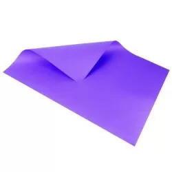 Cartolina dupla face com 20 folhas 48cmx66cm violeta Reipel