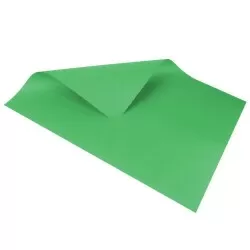 Cartolina dupla face com 20 folhas 48cmx66cm verde bandeira Reipel