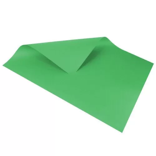 Cartolina dupla face com 20 folhas 48cmx66cm verde bandeira Reipel