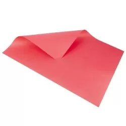 Cartolina dupla face com 20 folhas 48cmx66cm vermelho Reipel