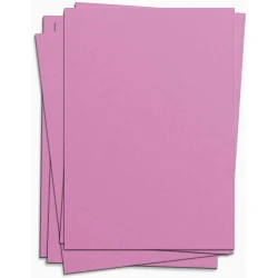 Cartolina rosa 48x66cm 140g blister Form Bob