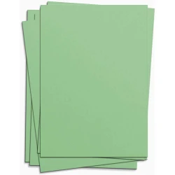 Cartolina verde 48x66cm 140g blister Form Bob