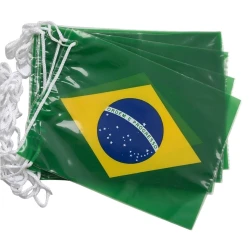 Copa bandeirola plástica varal brasil 37x56cmx5mt