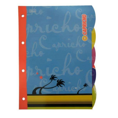 Divisória para fichário papel 10x1 Capricho