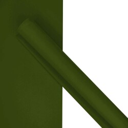 Emborrachado e.v.a liso 40x48cm verde musgo com 10 unidades