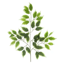 Flor haste folhas de ficus claro 03 galhos com 42 folhas
