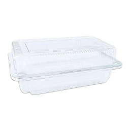Forma plástica cristal retangular BP-10 17x9x6cm alta com 100 unidades Bipack