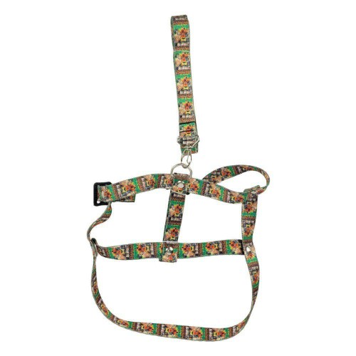 Guia nylon com peitoral PP/P/M/G 140cm sortidas