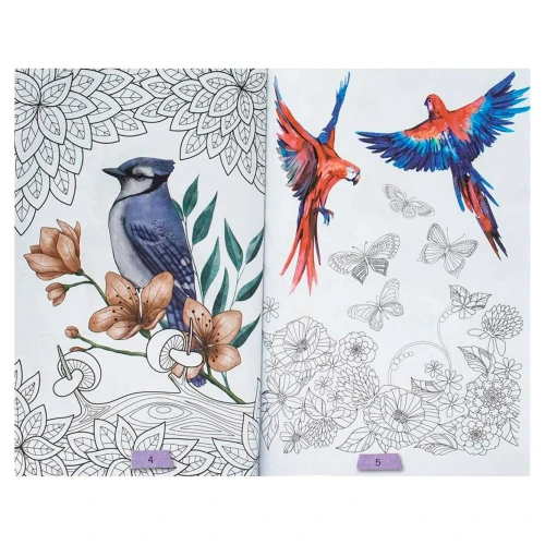 Livro para colorir com 365 atividades Jardim Encantado Brasileitura