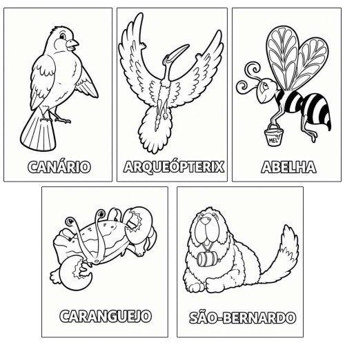 Livro para colorir e Brincar com Animais com 10 desenhos Brasil Leitura Livro para colorir e Brincar com Animais com 10 desenhos Brasil Leitura
