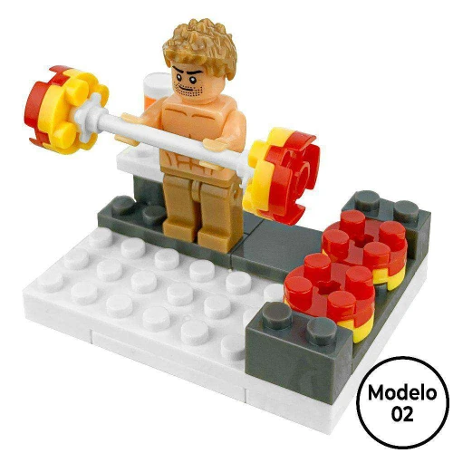 Monte brinque mini academia de montar play