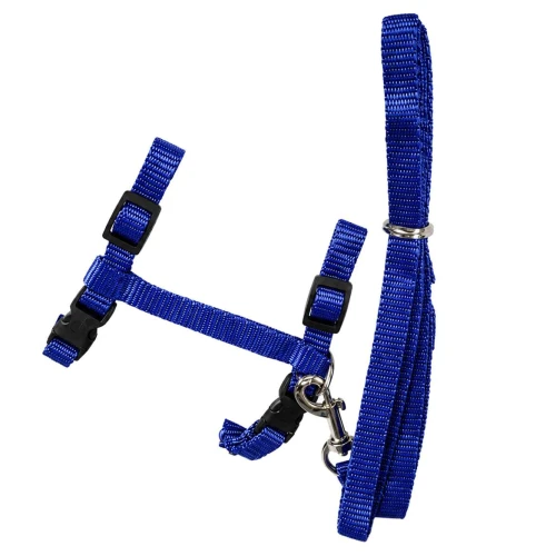 Pet guia nylon com peitoral pequeno 120cm