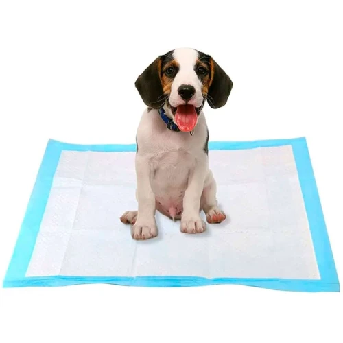 Pet tapete higienico 60x45cm Pet tapete higienico 60x45cm