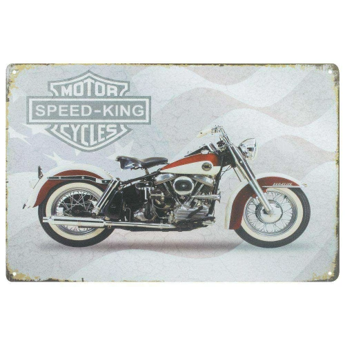 Placa de metal com dizeres e figuras 20x30cm sortida