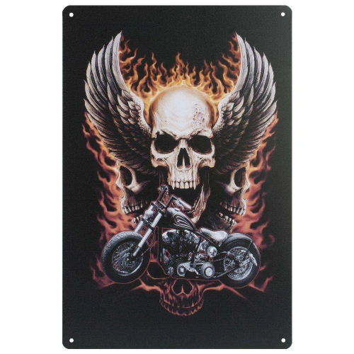 Placa de metal com dizeres e figuras 20x30cm sortida