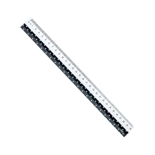 Régua plástica 30cm decorada sortidas BRW