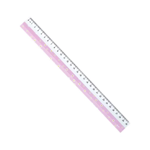Régua plástica 30cm decorada sortidas BRW