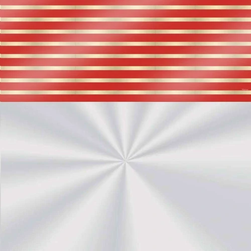 Saco celofane natal 60x75 sortidos