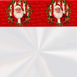 Saco de celofane Natal 45x59 sortidos
